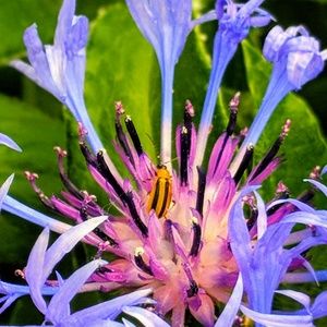 Meet your Posher, Kim